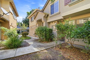 003_F8_388 Ribbonwood Ave