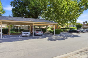 040_F8_388 Ribbonwood Ave
