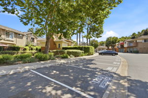 041_F8_388 Ribbonwood Ave