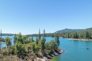  Photo 50