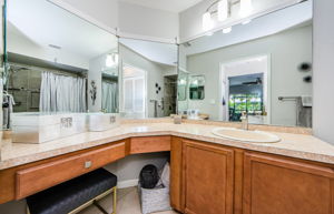 Master Bathroom 1a