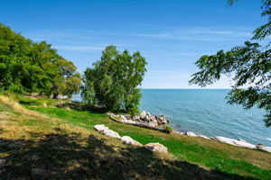  Photo 48