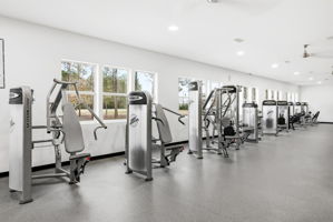  Photo 46
