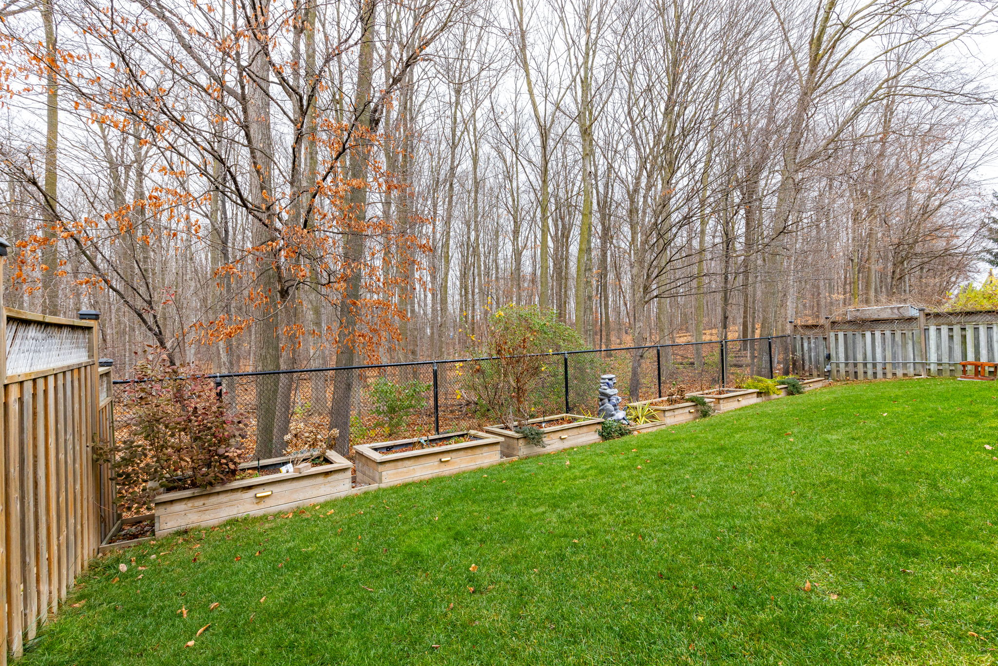 Newmarket property showcase — delivered property photograph 44