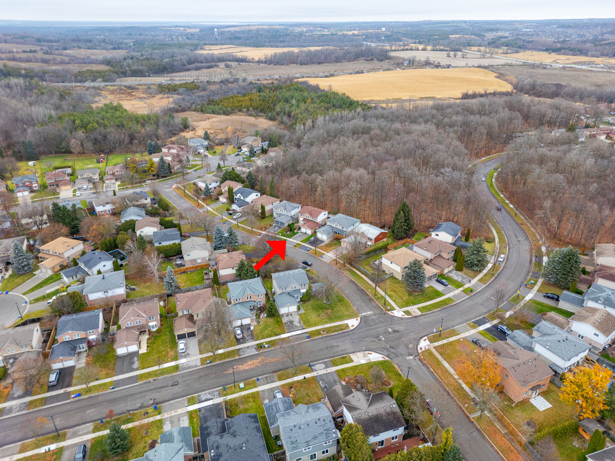 Newmarket property showcase — delivered property photograph 59
