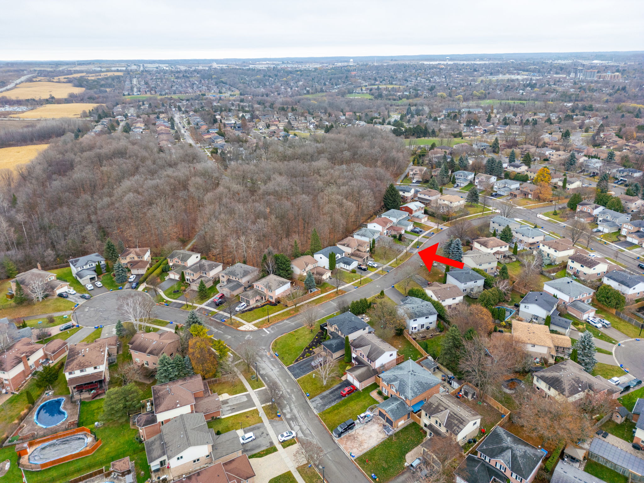 Newmarket property showcase — delivered property photograph 61