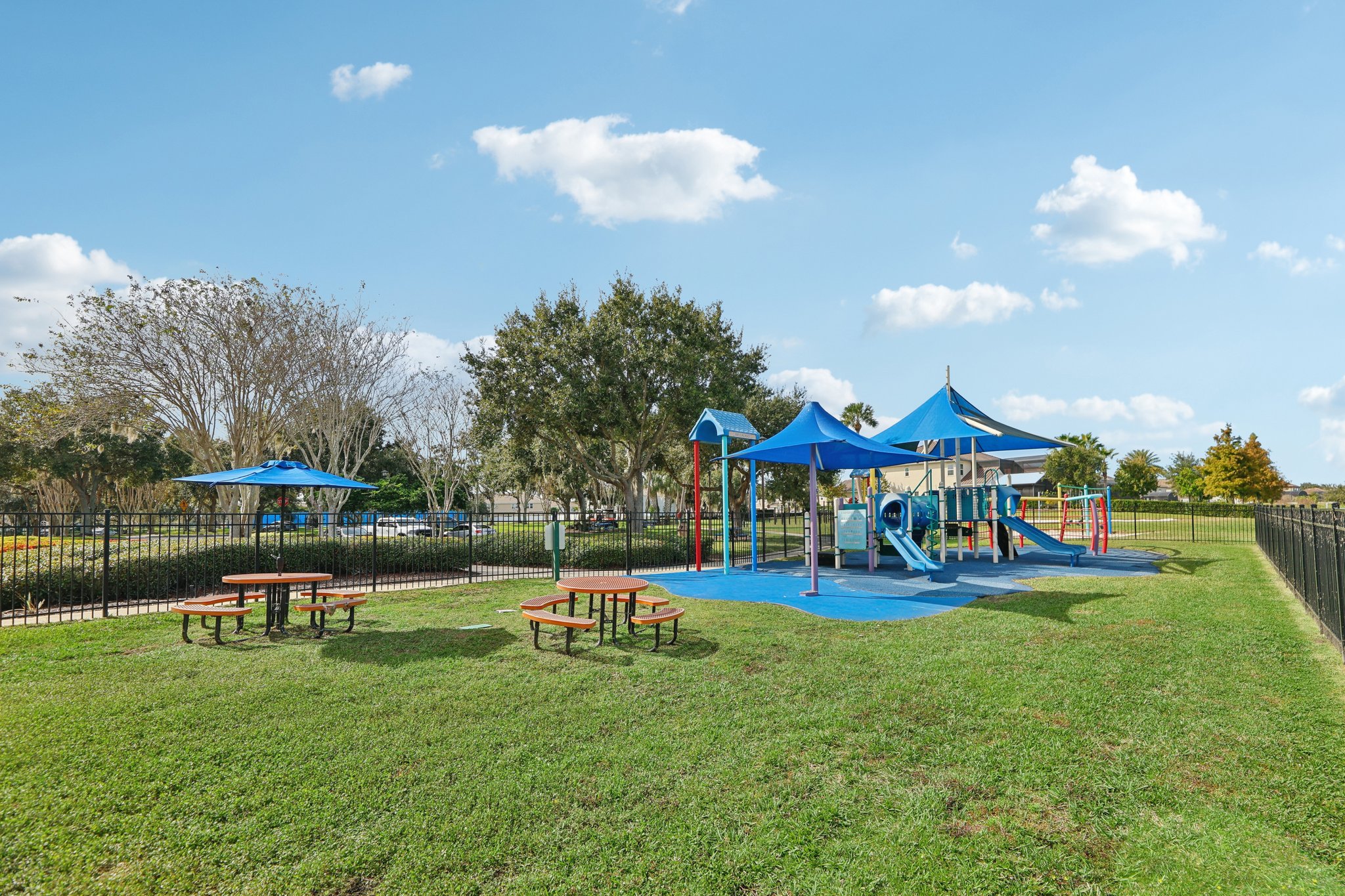 Golden Knot Dr-0303-908.jpg