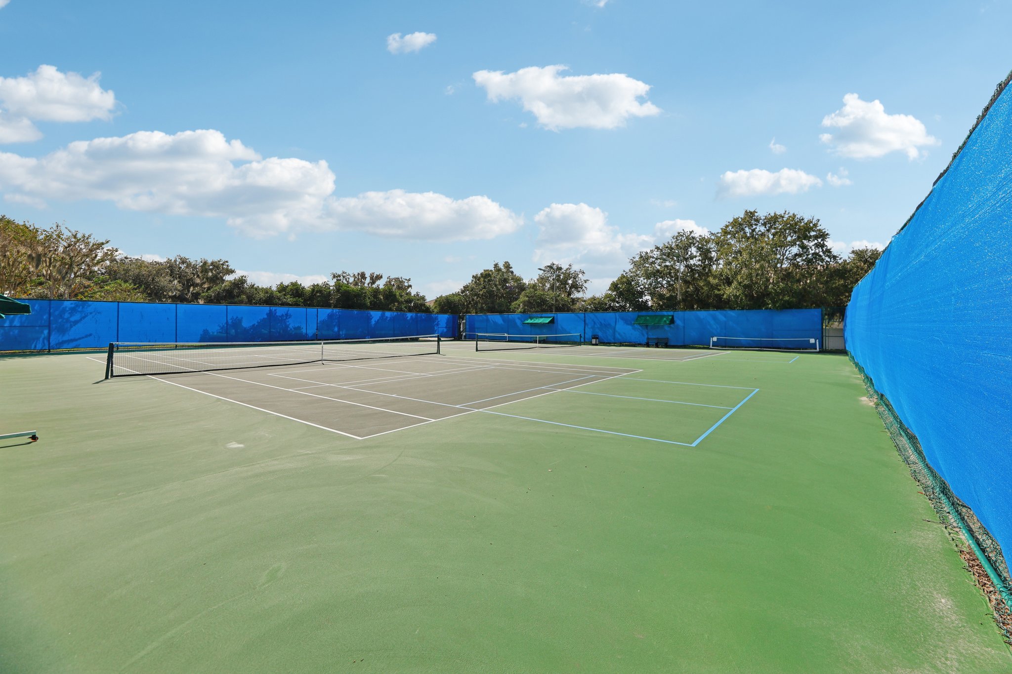 Golden Knot Dr-0303-915.jpg