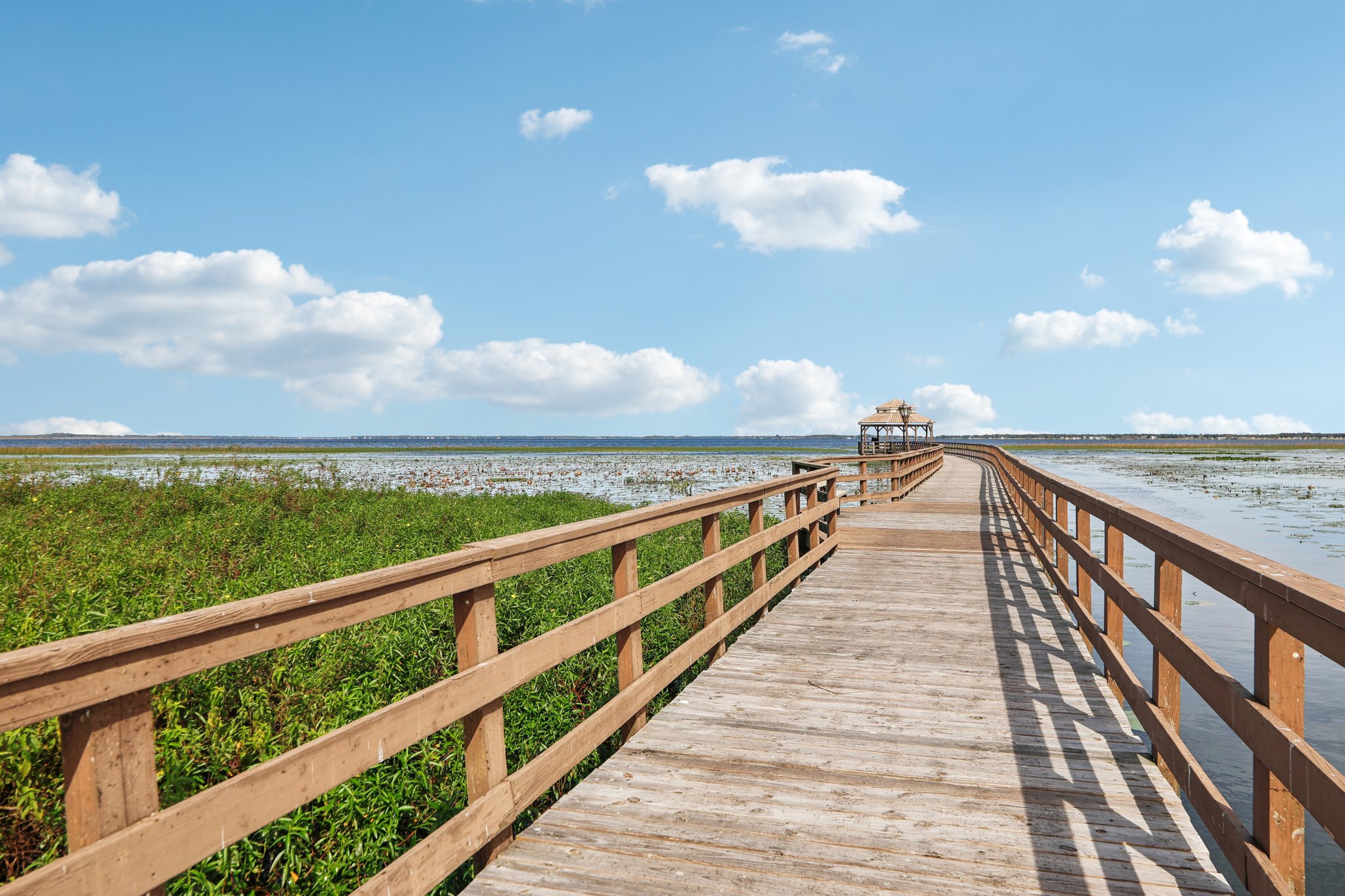 Golden Knot Dr-0303-924.jpg