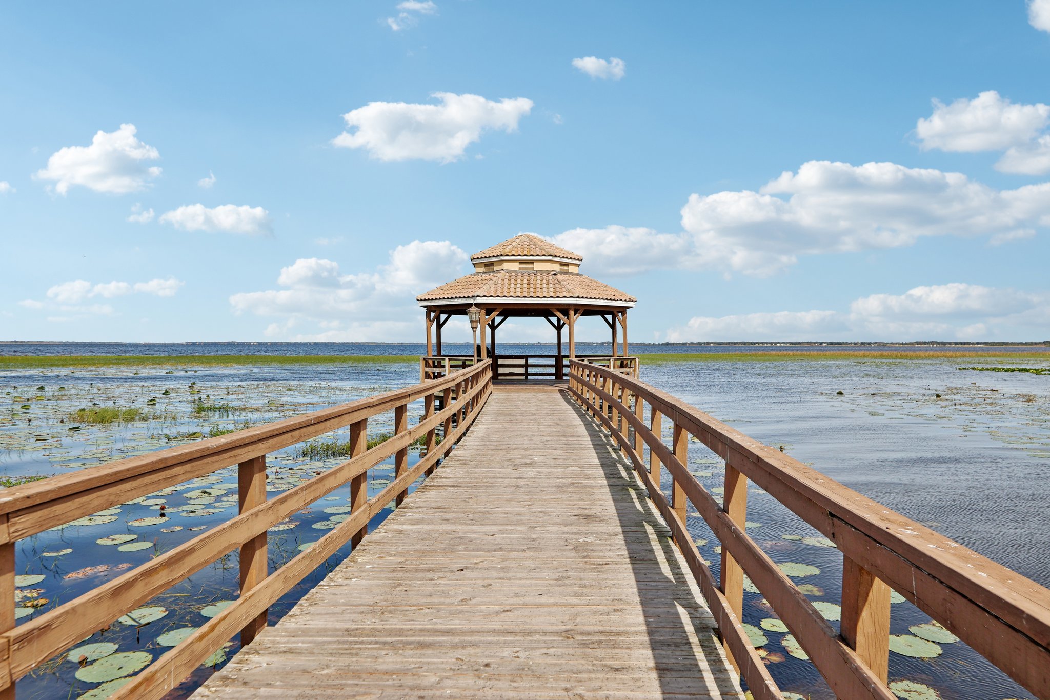 Golden Knot Dr-0303-925.jpg