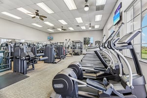 Golden Knot Dr-0303-903.jpg