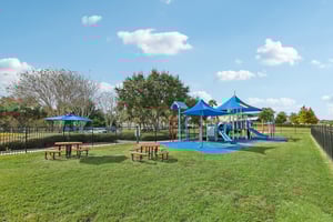 Golden Knot Dr-0303-908.jpg