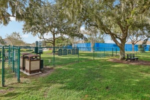 Golden Knot Dr-0303-910.jpg