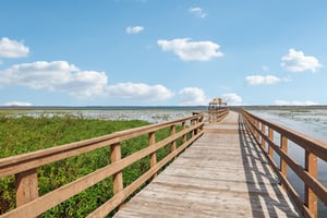 Golden Knot Dr-0303-924.jpg