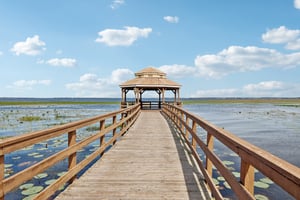 Golden Knot Dr-0303-925.jpg