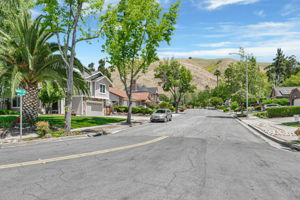 074_38957 Altura St  Fremont