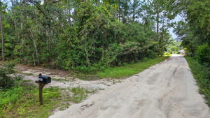  Photo 47
