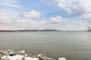 39 Annie Craig Dr, Etobicoke, ON M8V 0A3, Canada Photo 20