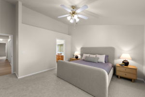  Photo 46