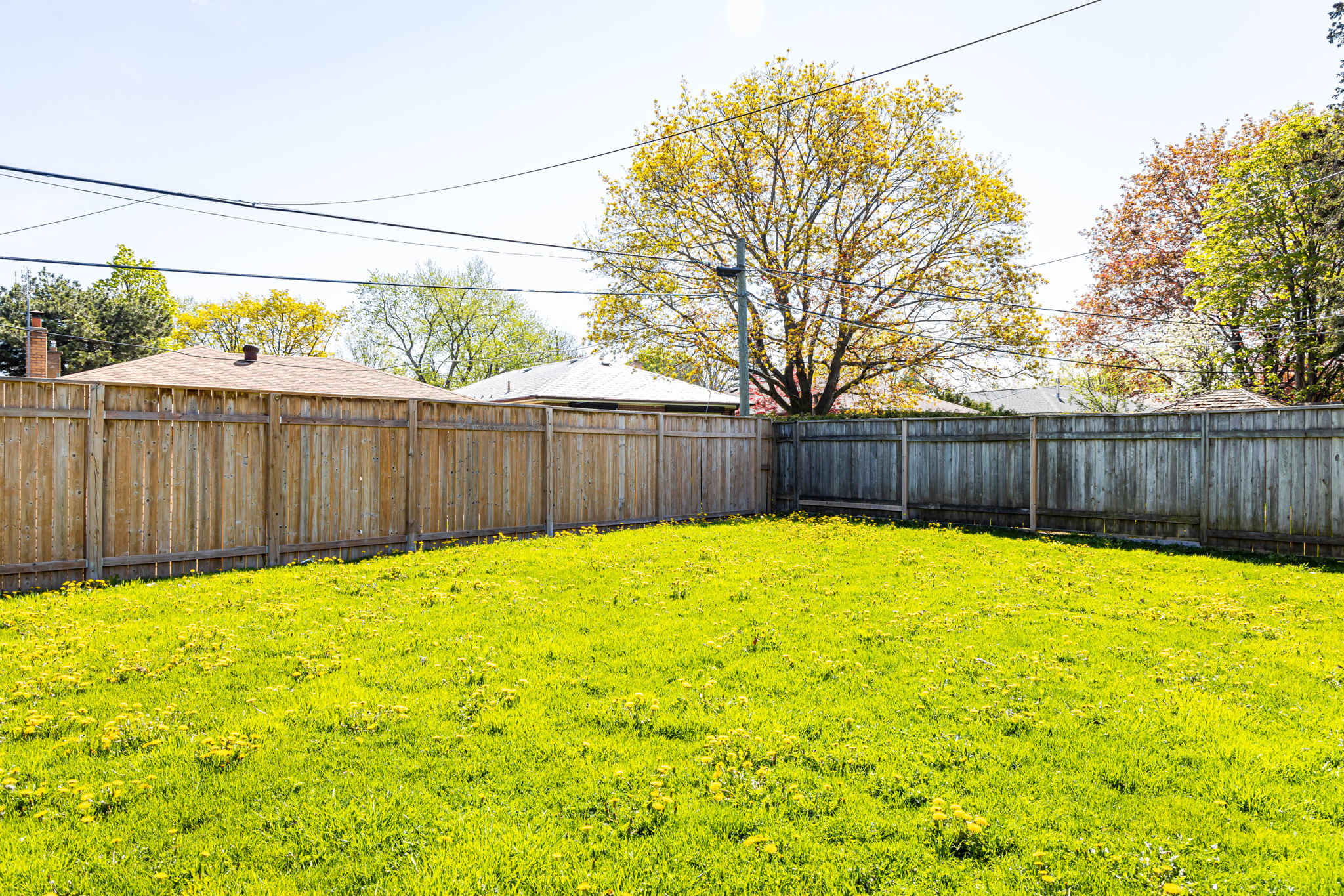 Toronto property showcase — delivered property photograph 39