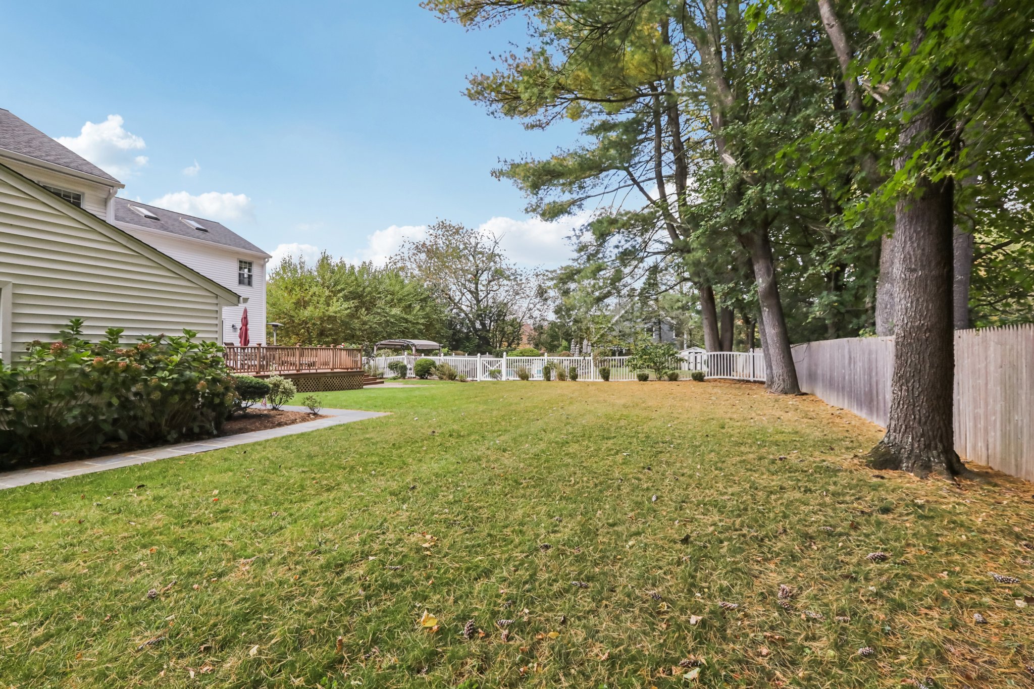 Virginia Ln-S1110-073.jpg