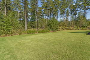  Photo 39