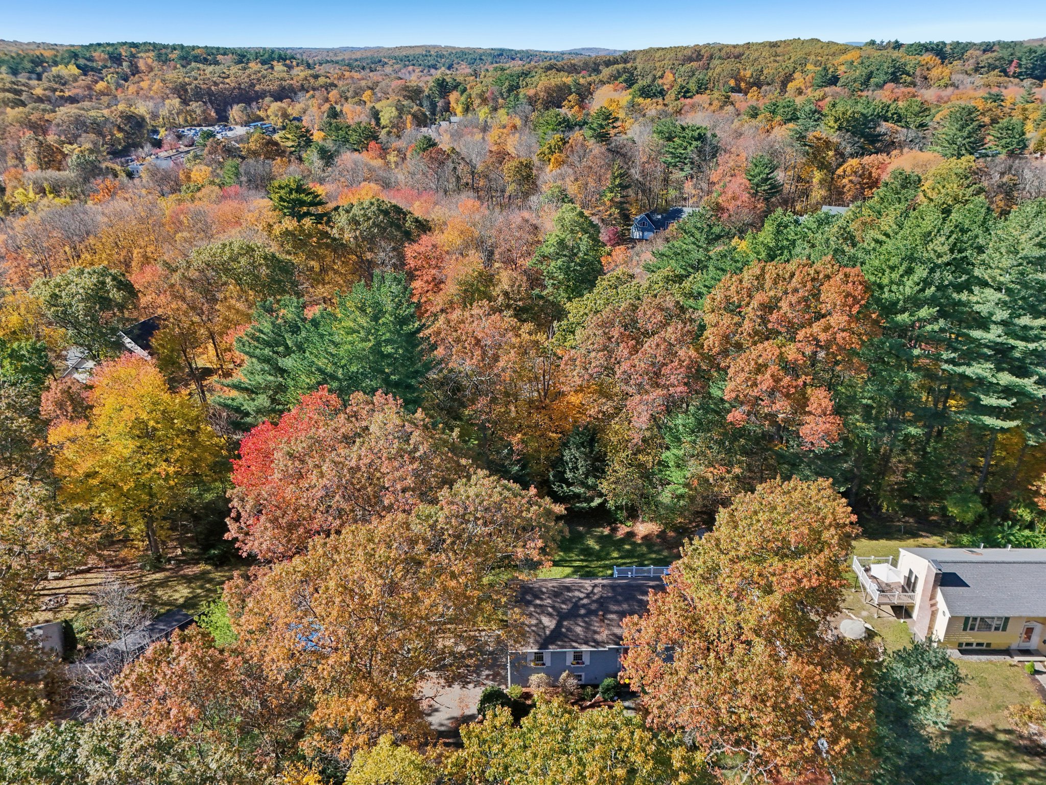 Woodbury Rd-S2210-038.jpg