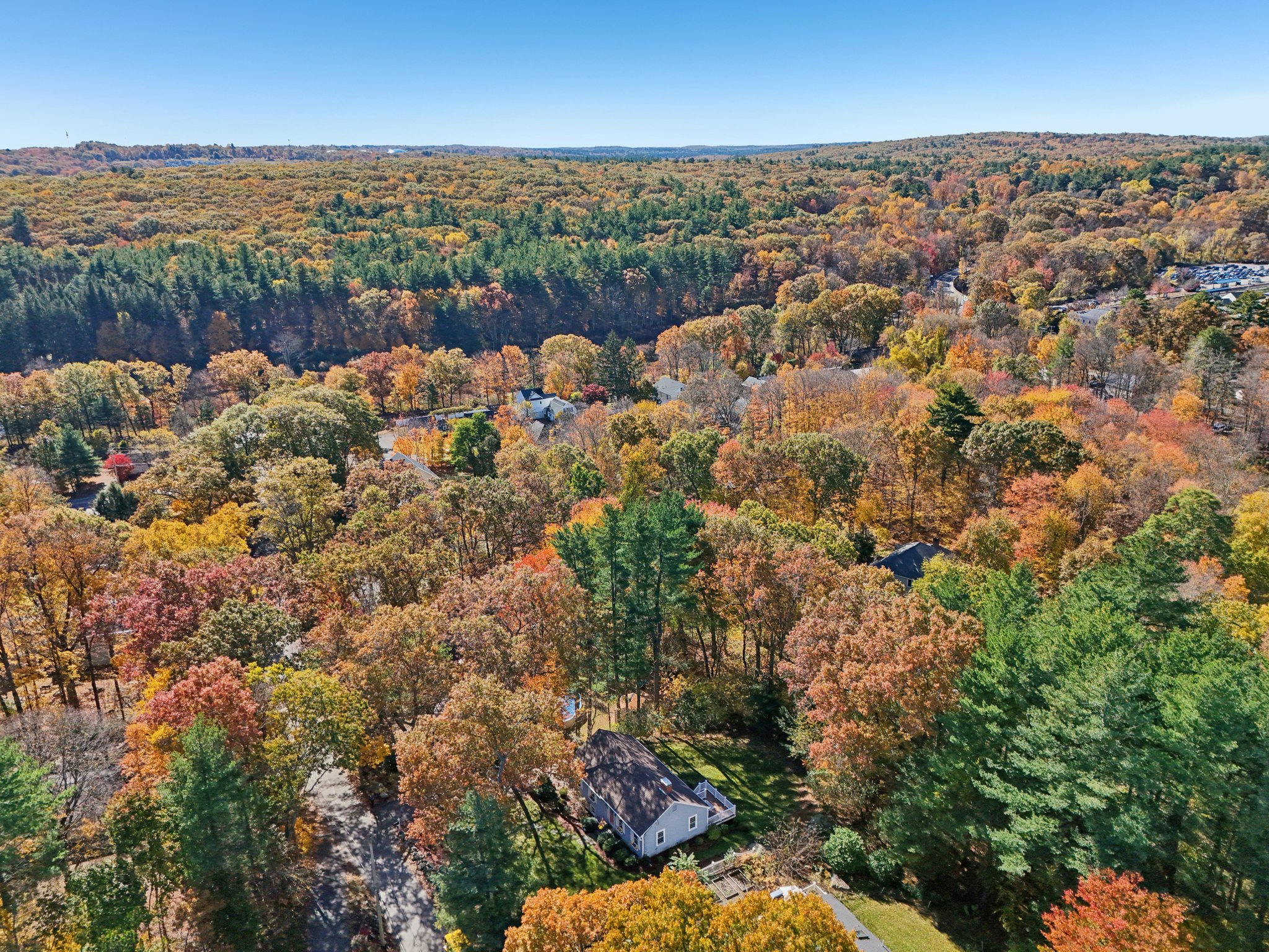 Woodbury Rd-S2210-045.jpg