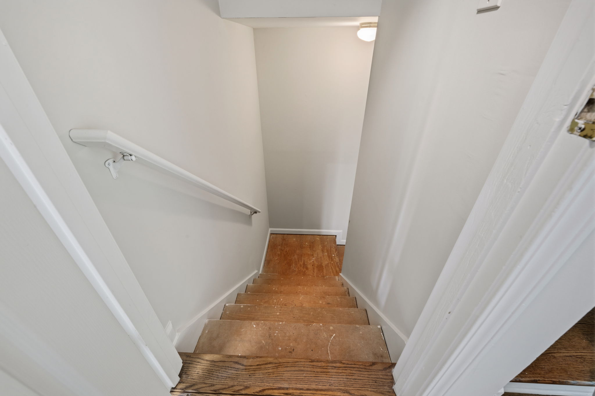  Photo 48