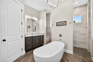 Primary Bathroom 2