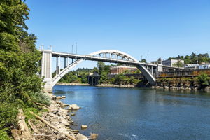  Photo 46