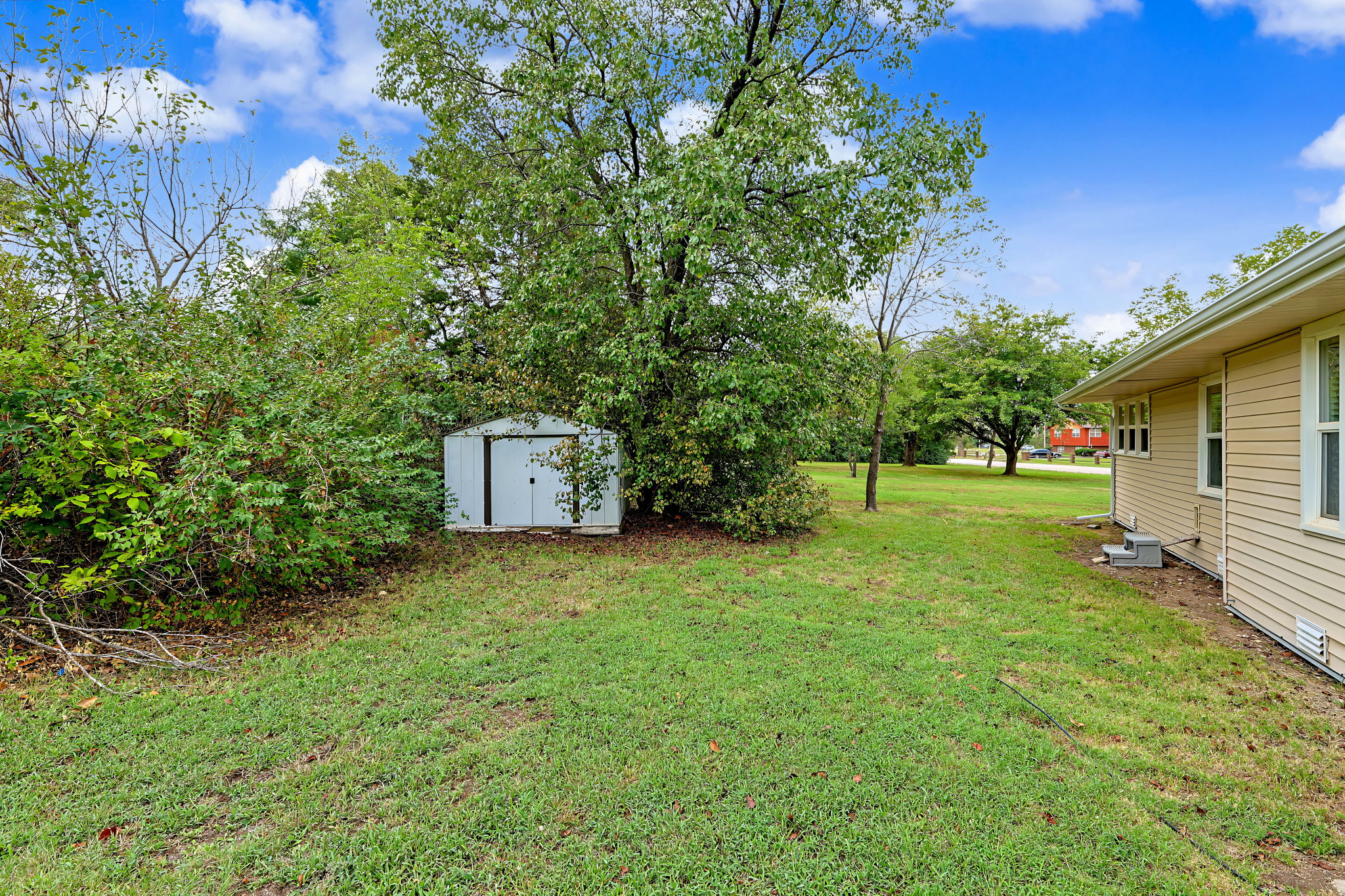  Photo 45
