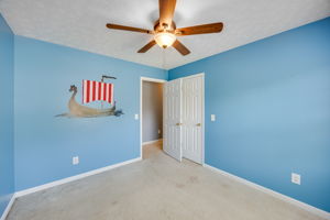  Photo 49