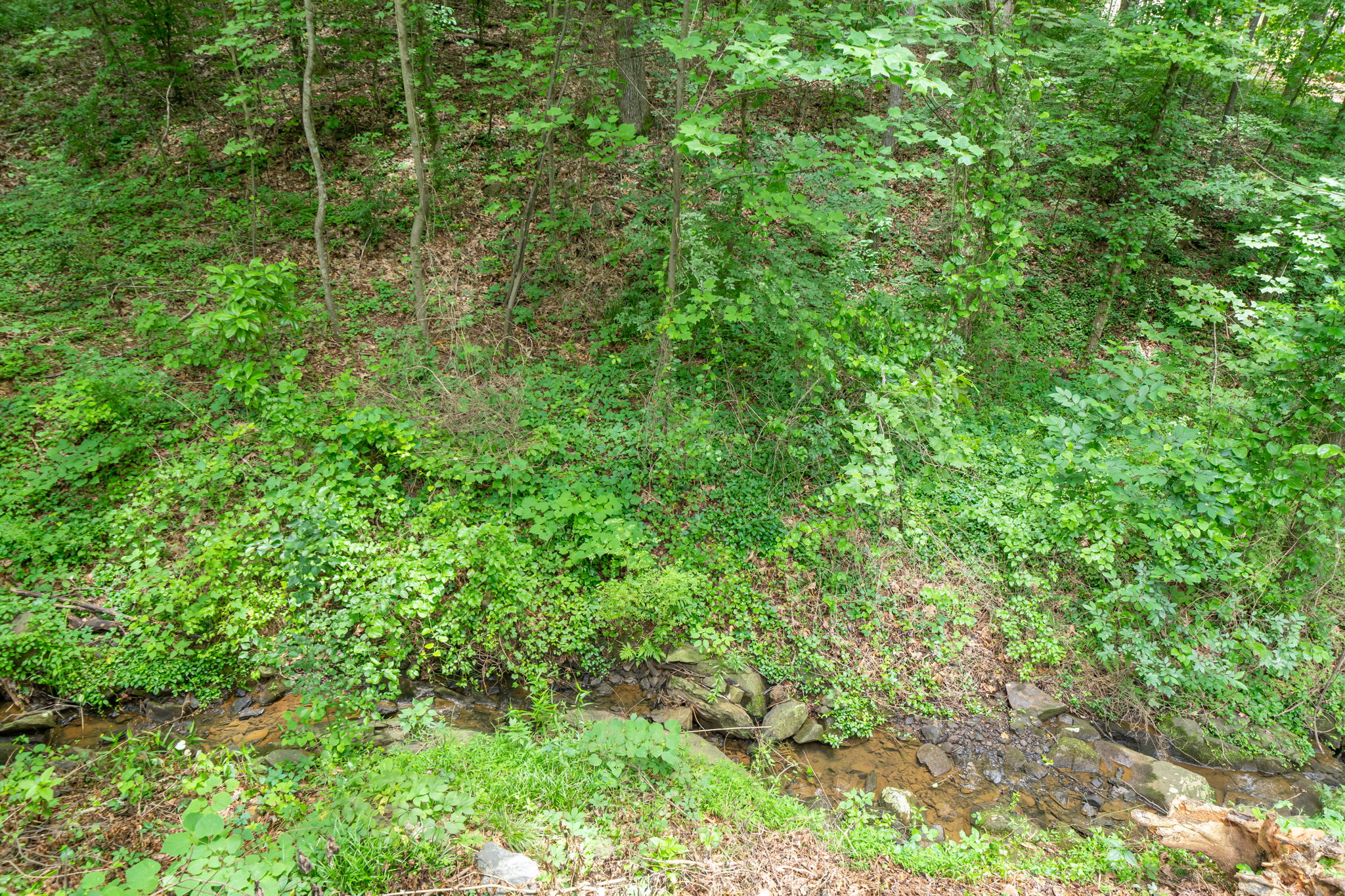  3905 Halisport Dr NW, Kennesaw, GA 30152, US Photo 49