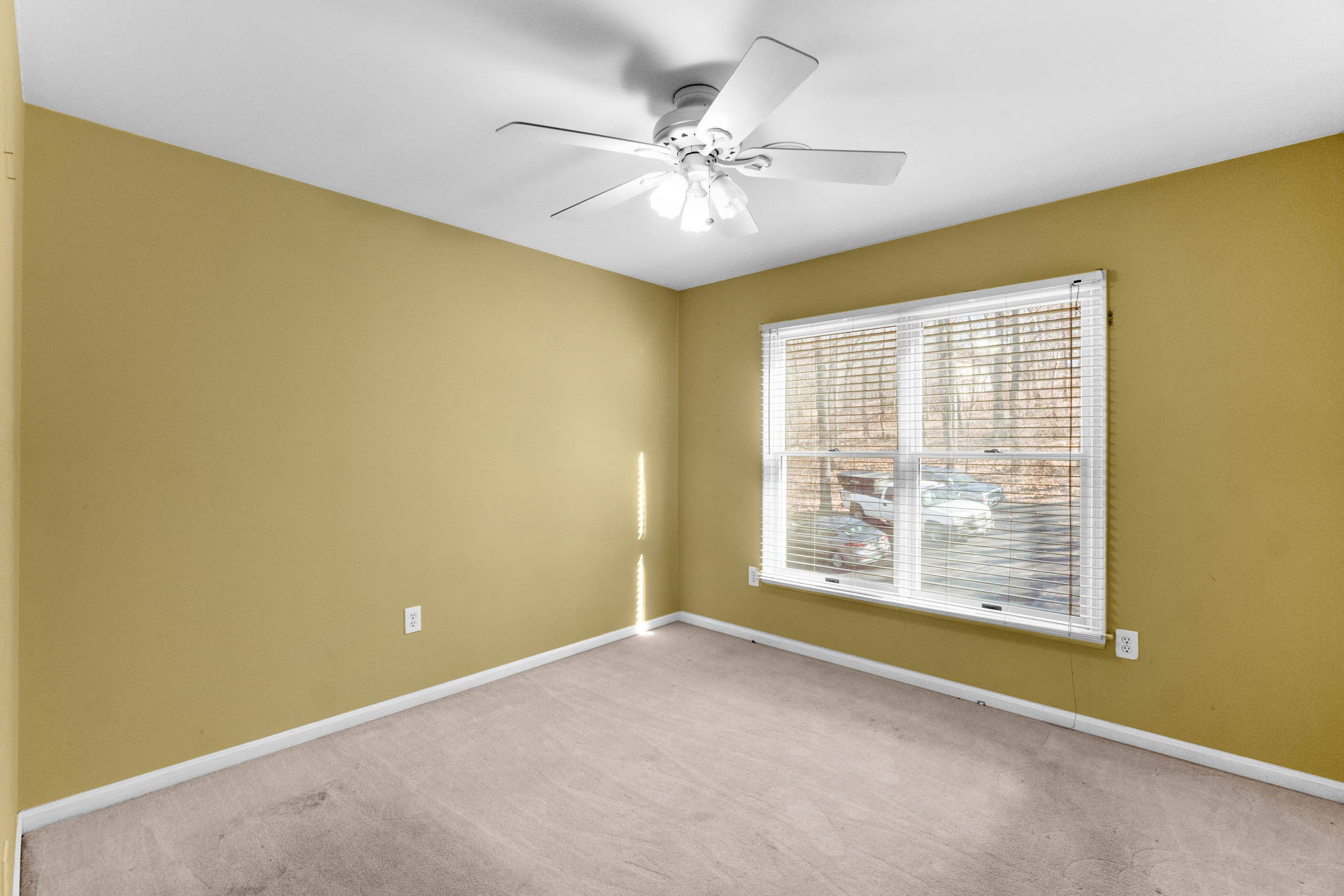 17 bedroom