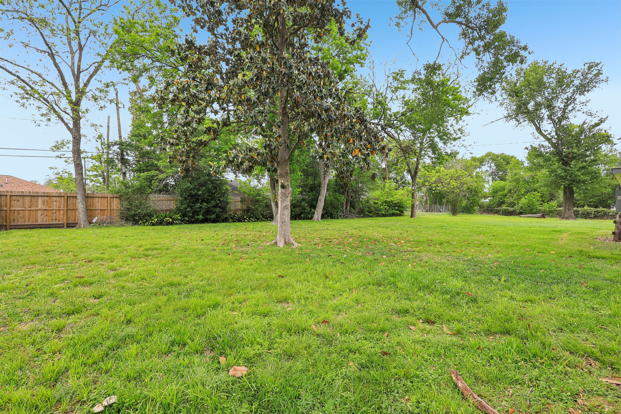 Galway Ln-S1804-027.jpg