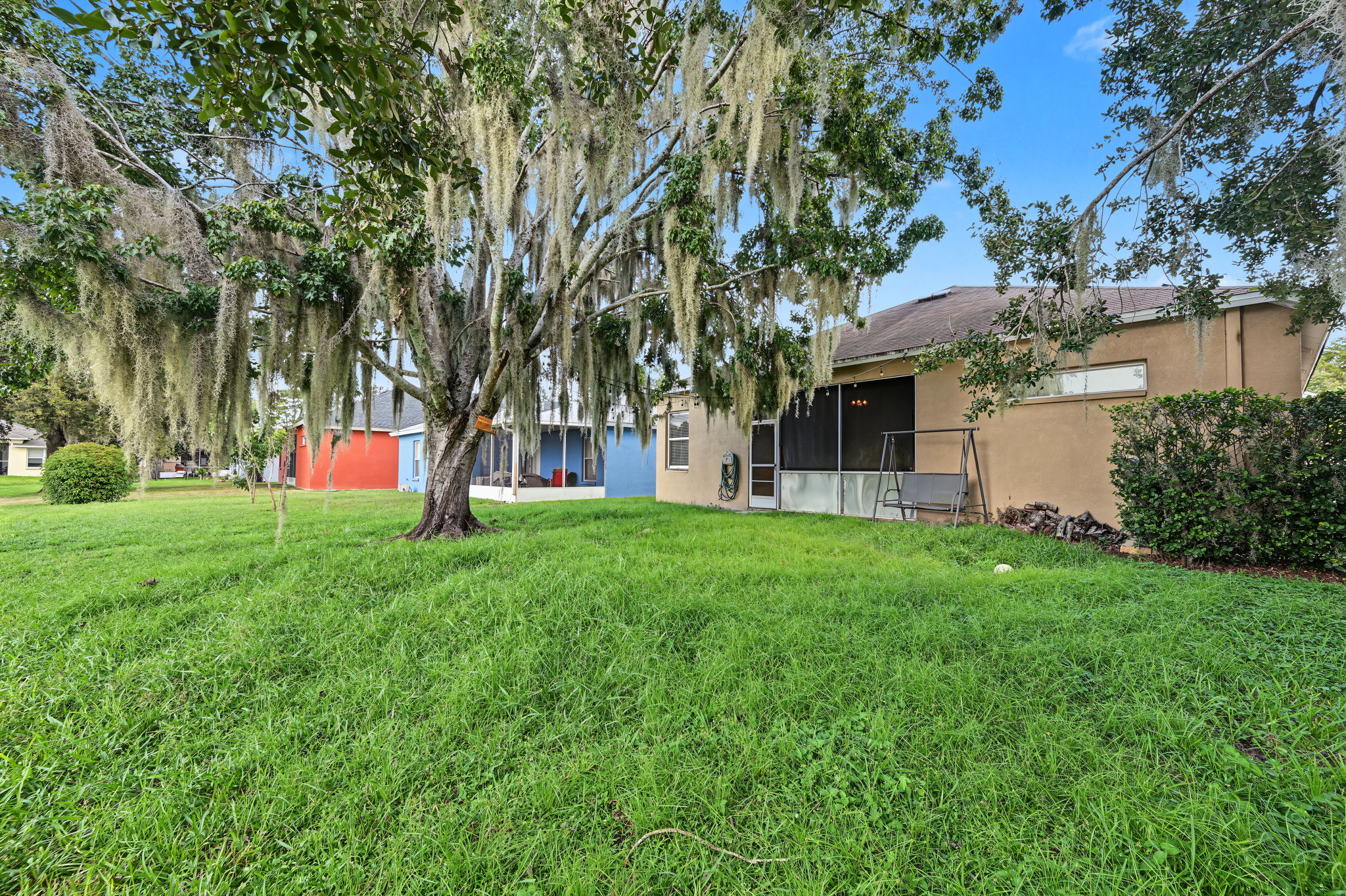 Backyard8