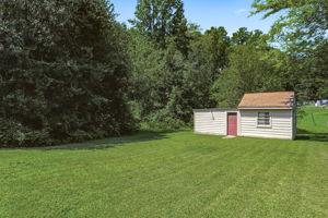 23-Backyard