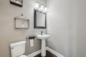 Danube Ln-S1702-015.jpg