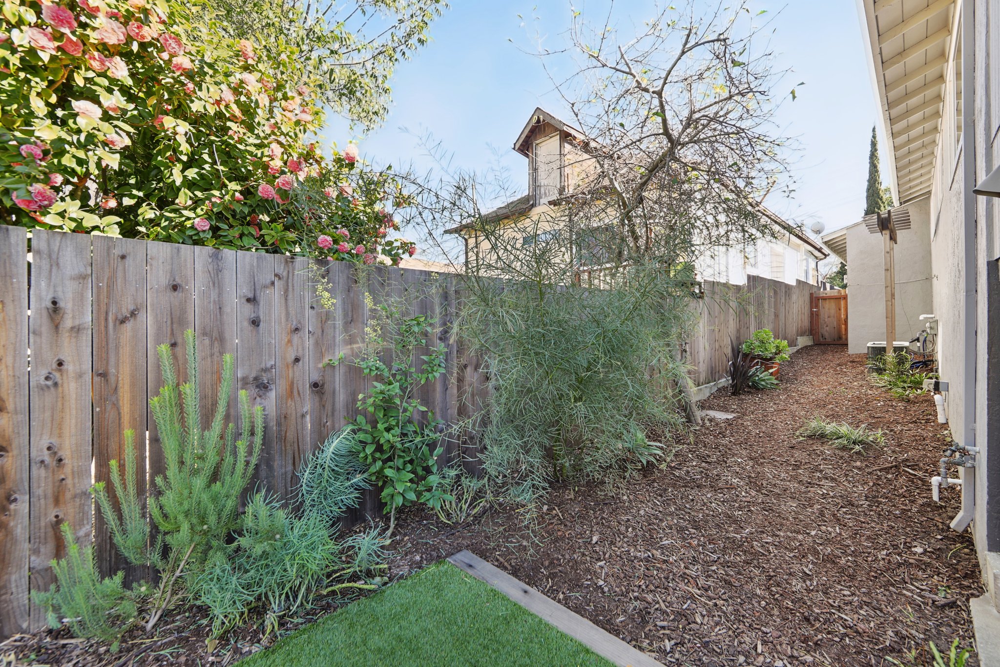 Madrone Ave-049.jpg