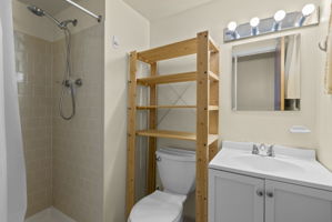 Lower Level - Bathroom