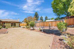 Backyard w/dog run