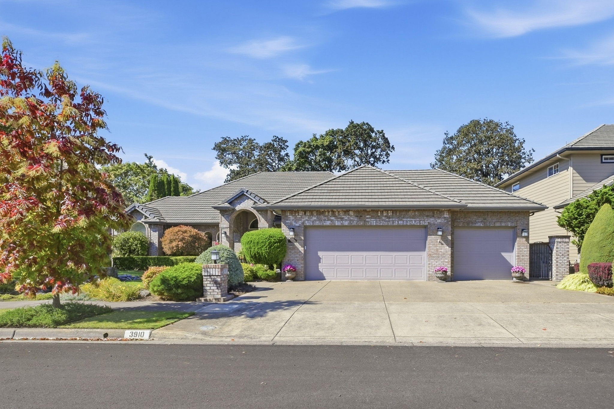  Photo 53
