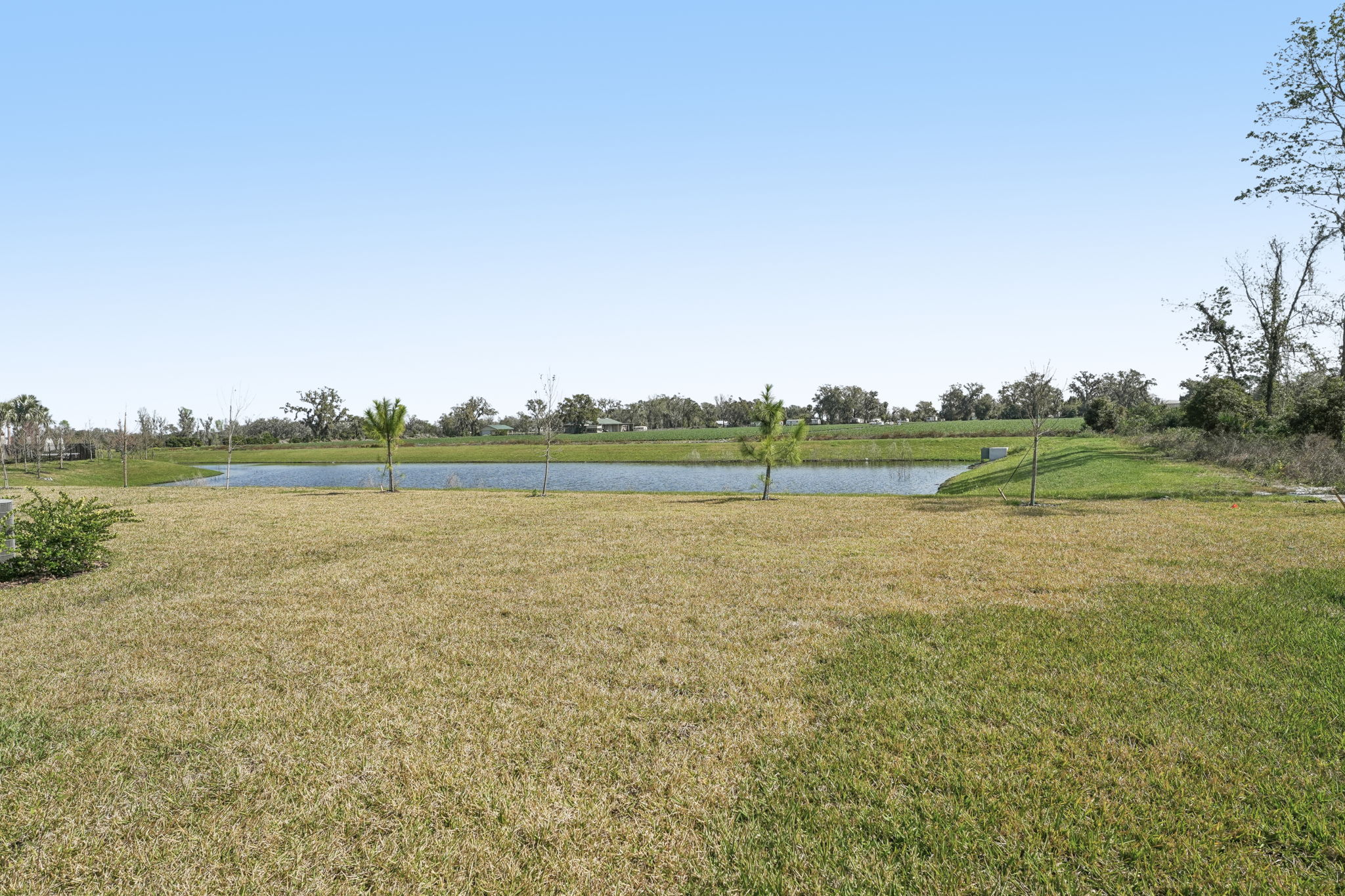 Tampa - Park East - 3910 Radiant Mountain Drive, Plant City FL 33565 -036