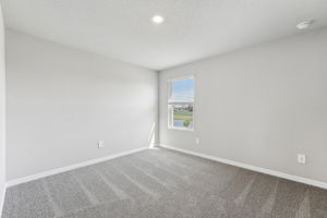 Tampa - Park East - 3910 Radiant Mountain Drive, Plant City FL 33565 -028