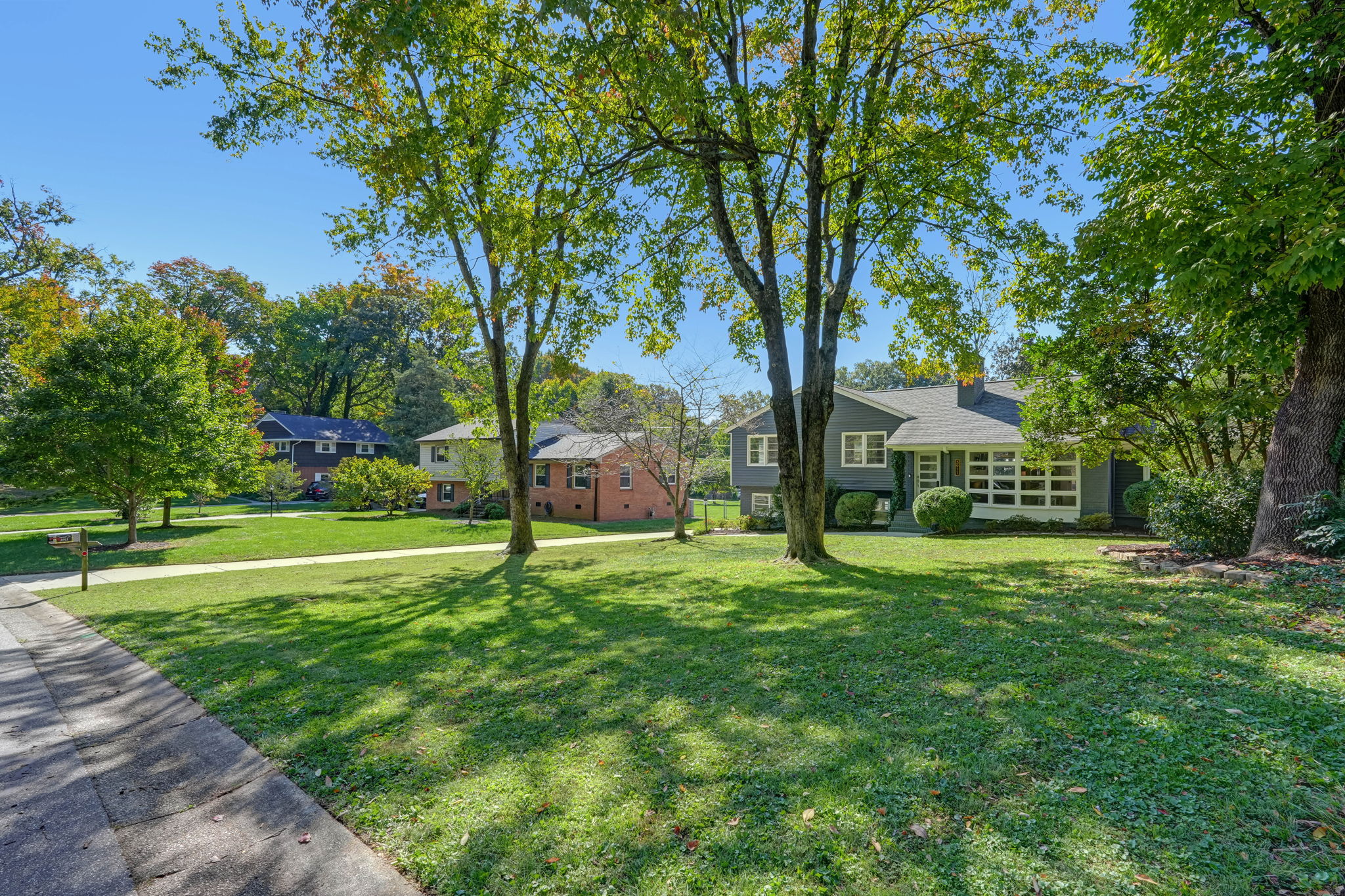Front Yard