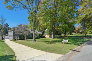 Front Yard