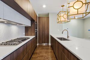 3914 S King Dr 1S - Biazar_CHP2026_013