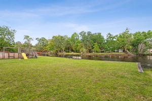 Back View