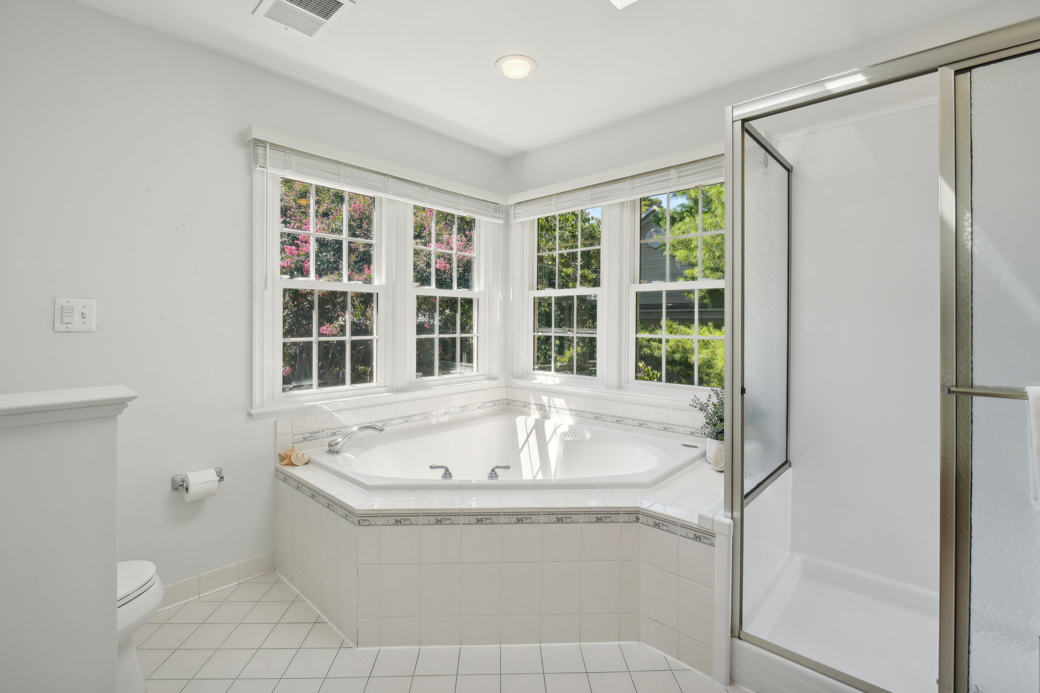 Large Soaking Tub and Separate Shower